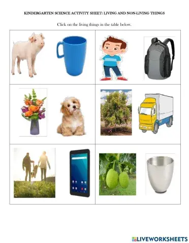 Living and non-living things