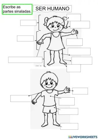 seres vivos: ser humano, partes