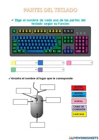 Teclado