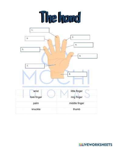 The hand