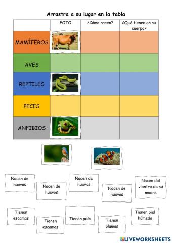 Animales vertenrados