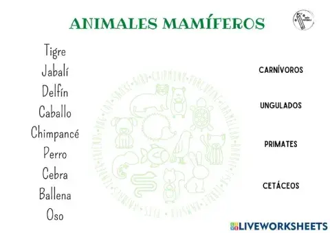 Tipos de animales mamíferos