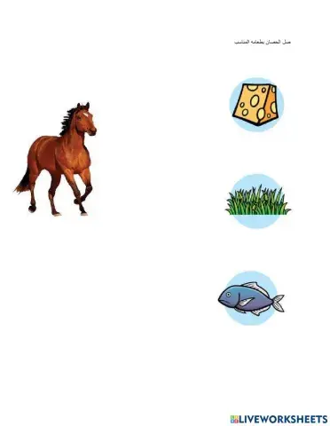 حيوانات المزرعة