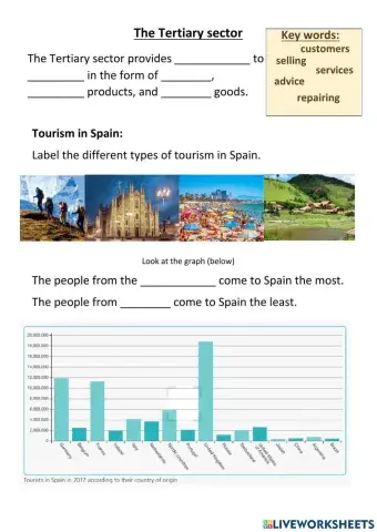 Tertiary sector activities