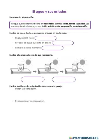 El agua y sus estados