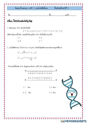 สอบเก็บคะแนน ม.4 เทคโนโลยีดีเอ็นเอ