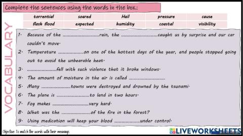 Unit6-leeson7-vocabulary