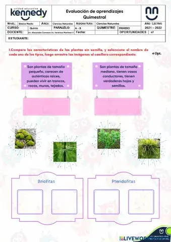 UE Kennedy - Evaluación 1Q Ciencias Naturales