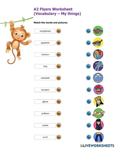 A2 Flyers Worksheet Vocabulary My Things