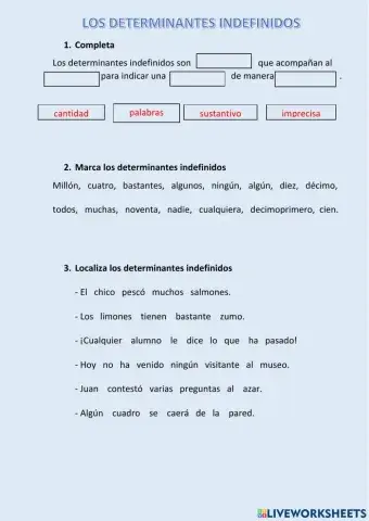 Determinantes indefinidos