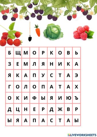 Словарные слова