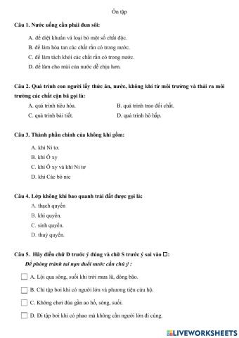 Ôn Khoa học CK1 lớp 4