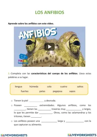 Anfibios
