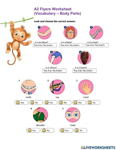 A2 Flyers Worksheet Vocabulary Body Parts