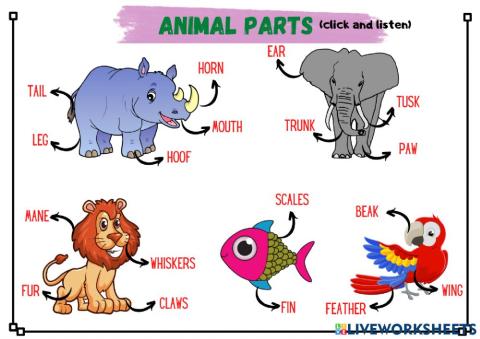 Animals parts