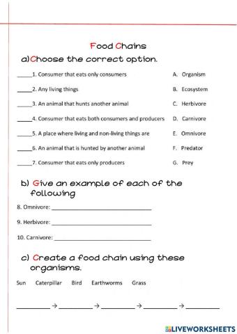 Food Chains