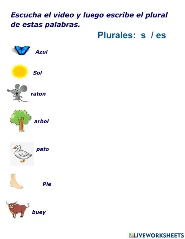 Plural