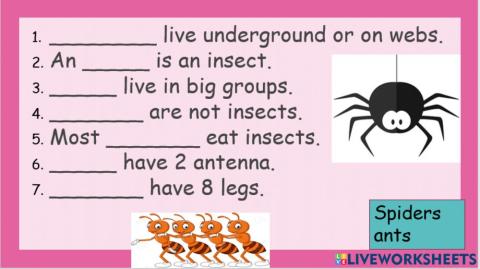 Ants and spiders