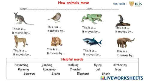 Animal move