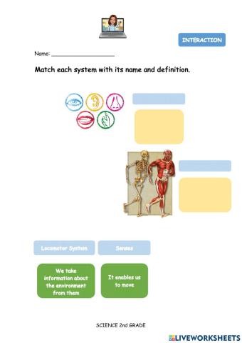 Interaction systems functions