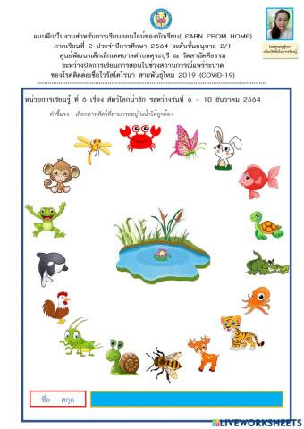 สัตว์โลกน่ารัก