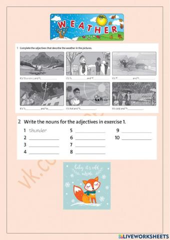 Weather Solutions WB Unit 4.1