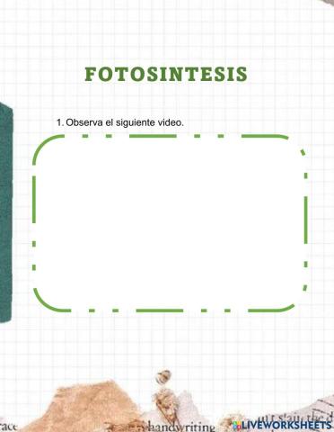 Fotosintesis videos