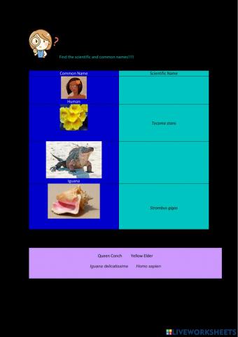 Common and Scientific Names