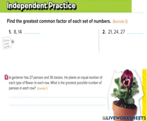 Greatest Common Factor