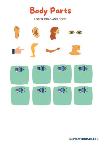 Body Parts