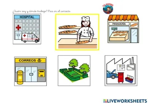 Las profesiones y sus lugares de trabajo 1