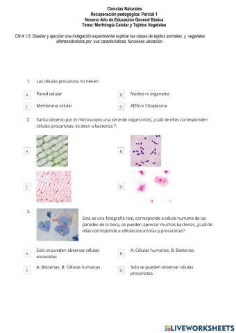Ciencias Naturales 1 -  RPP1