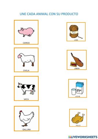 Productos provenientes de los Animales.