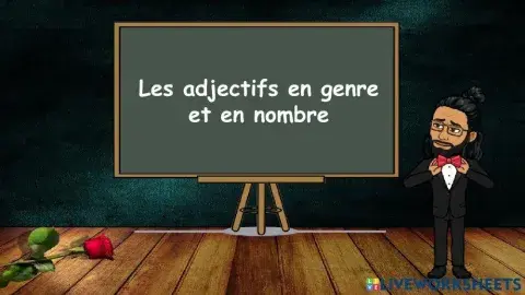 Les adjectifs en genre et en nombre