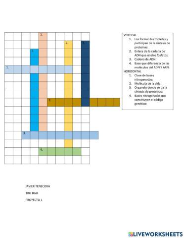 Acidos nucleicos-estructura del adn