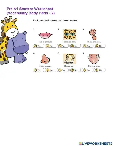 Pre A1 Starters Worksheet Vocabulary Body Parts 2