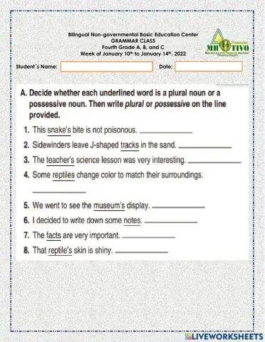Plural and Possessive Nouns