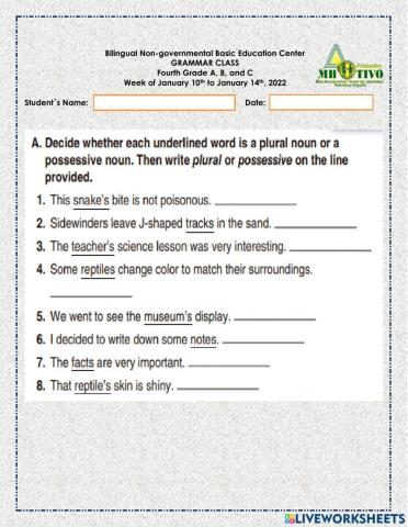 Plural and Possessive Nouns
