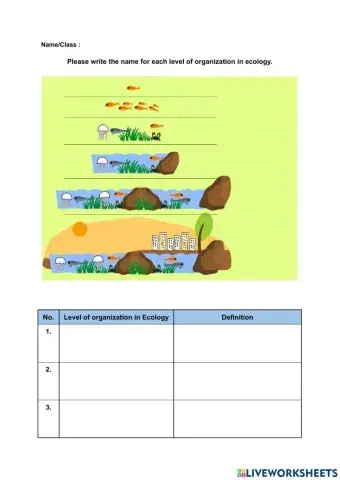 Level of Organization in Ecology