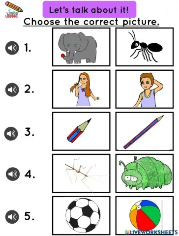 Adjectives - Let's describe it.