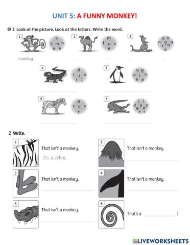 Unit 5: A funny monkey!