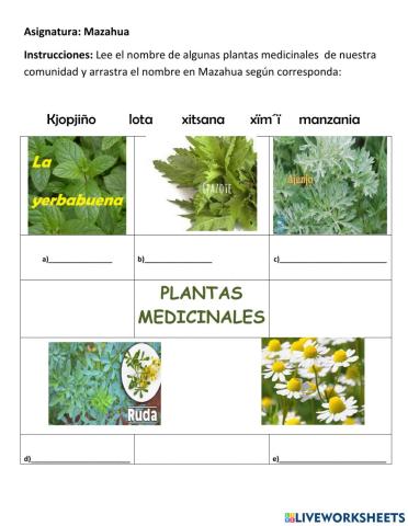 Plantas