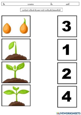เกมเรียงลำดับเหตการณ์