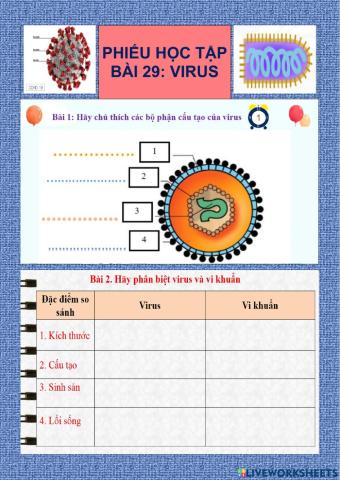 Bài 29: Virus