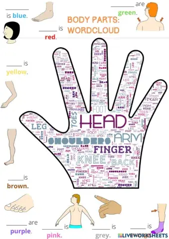 Wordcloud body parts