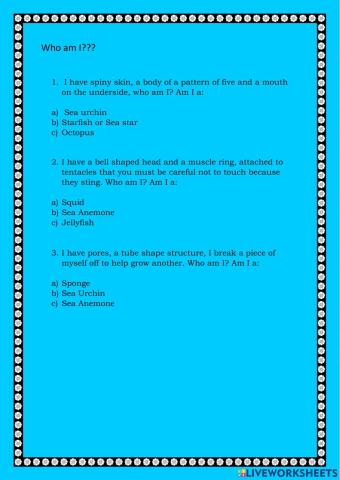 Sea Creatures Who am I