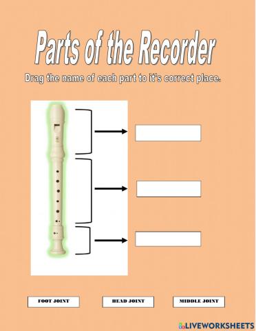 Parts of the Recorder