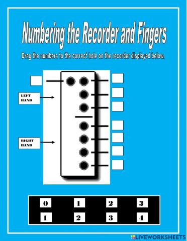 The recorder