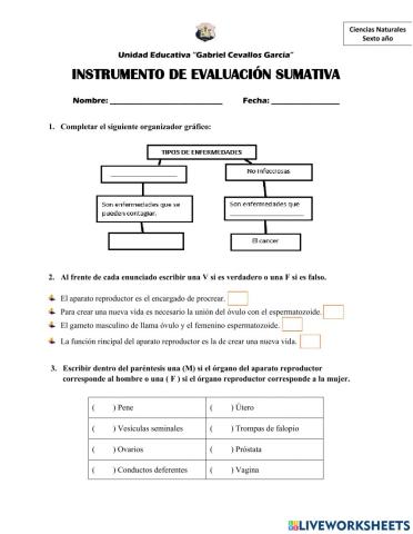 Evaluación sumativa