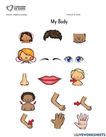 Body parts